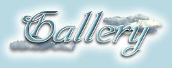 Photo Gallery