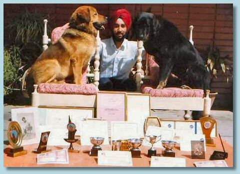 Himmat & Champions Himmat & Champions