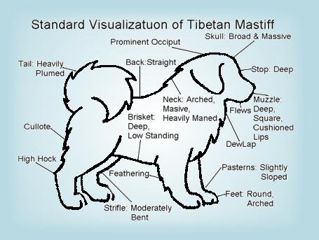 Standard Diagram